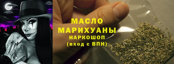 молекула духа Богданович
