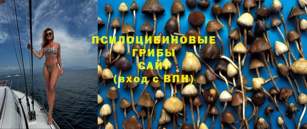ПСИЛОЦИБИНОВЫЕ ГРИБЫ Богородицк