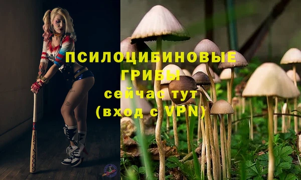 гашиш Беломорск
