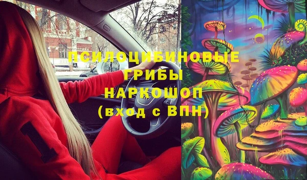 ПСИЛОЦИБИНОВЫЕ ГРИБЫ Богородицк
