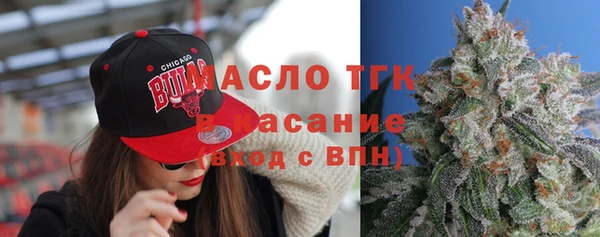 молекула духа Богданович