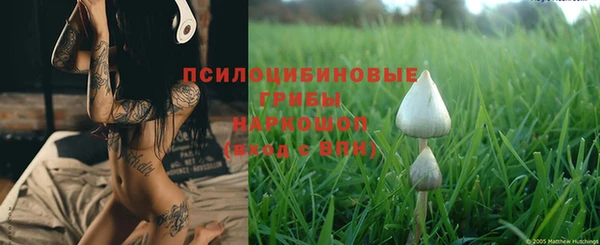 альфа пвп Белокуриха