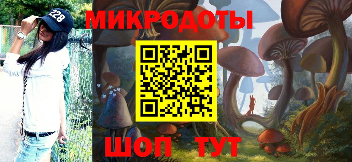 Псилоцибиновые грибы Psilocybe  Вход с VPN  Воркута 